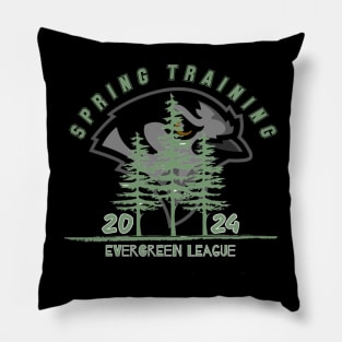 Spring Training 2024 Pillow