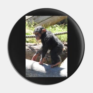 Baby Chimpanzee Pin