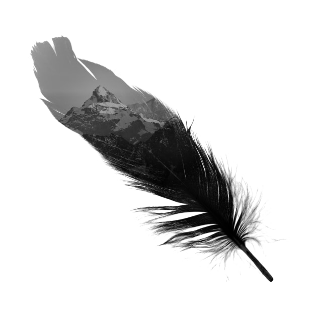 Feather by Little Rabbit