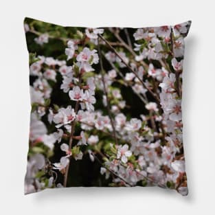 Tiny White and Pink Blossoms in Photography Pillow