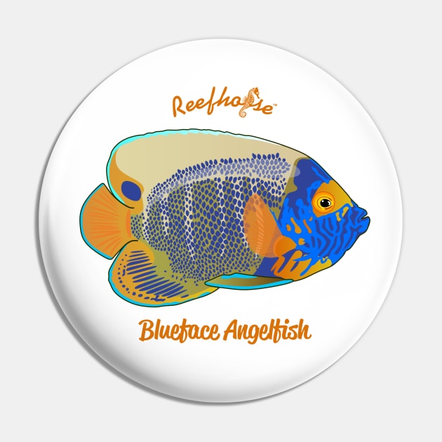 Blueface Angelfish Pin by Reefhorse