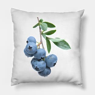 Food For Thought Pillow