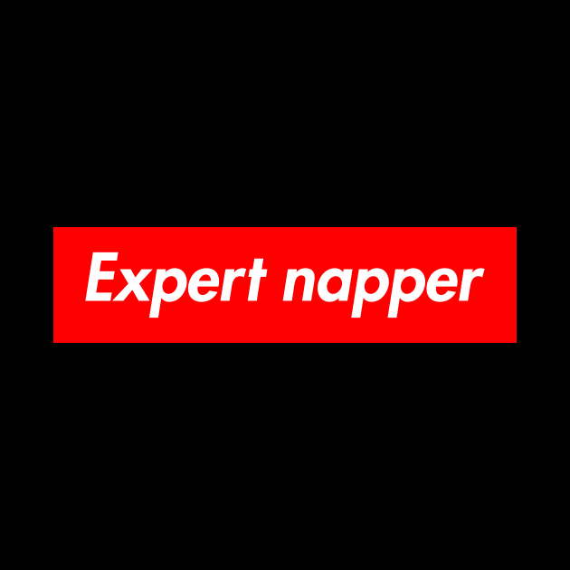 Expert Napper by conundrumarts