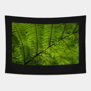 Fern Tapestry