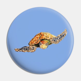 Sea Turtle Swimming Towards You Pin