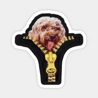 Doggy in my pocket - Cavapoo Cavoodle puppy sticking it’s tongue out - cute cavalier king charles spaniel Magnet