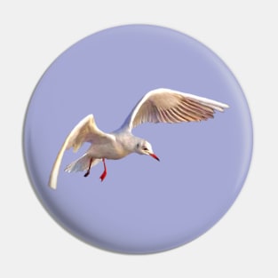 Seagull Pin