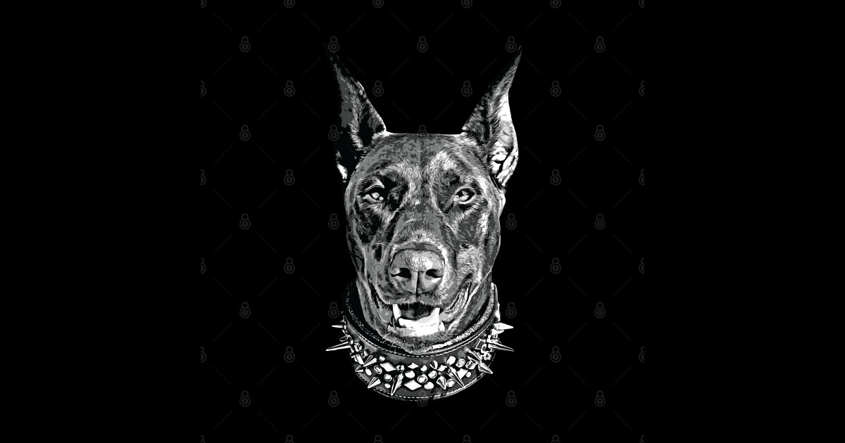 Stunning Doberman Black & White - Doberman - Sticker | TeePublic