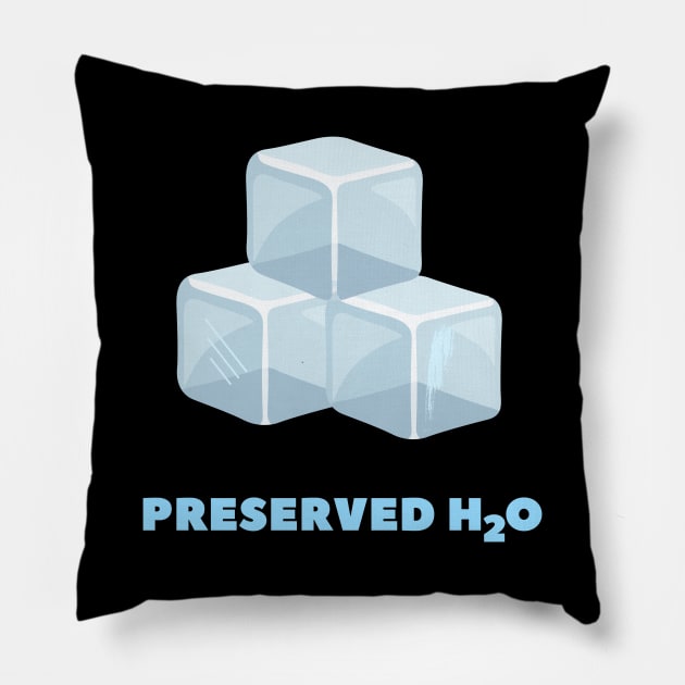 Preserved H2O Pillow by OrangeBasket