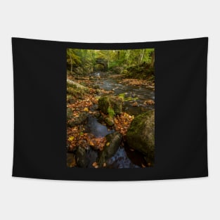 Maybeck Autumn Colours Tapestry