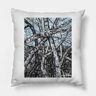 'Blue Ridge Ruminations #9' Pillow