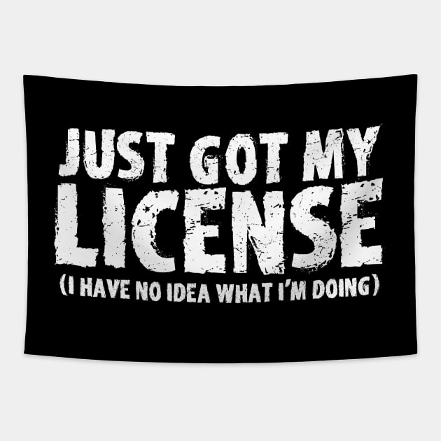 Just Got My License Tapestry by mareescatharsis