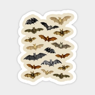 Vintage Dark Academia Bat Illustrations - Halloween Costume Magnet