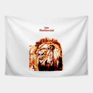 Lion (Panthera leo) Tapestry