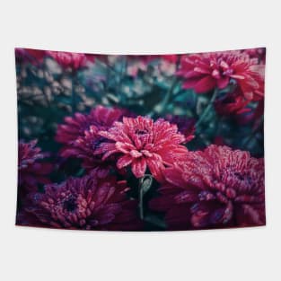 Crimson Chrysanthemums in the morning Tapestry