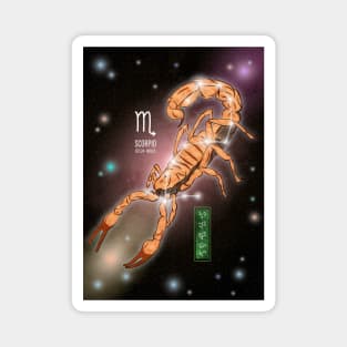 Scorpio Magnet