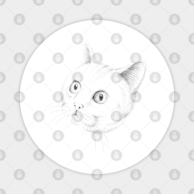 Cat Face Drawing Cat Face Drawing Magnet Teepublic