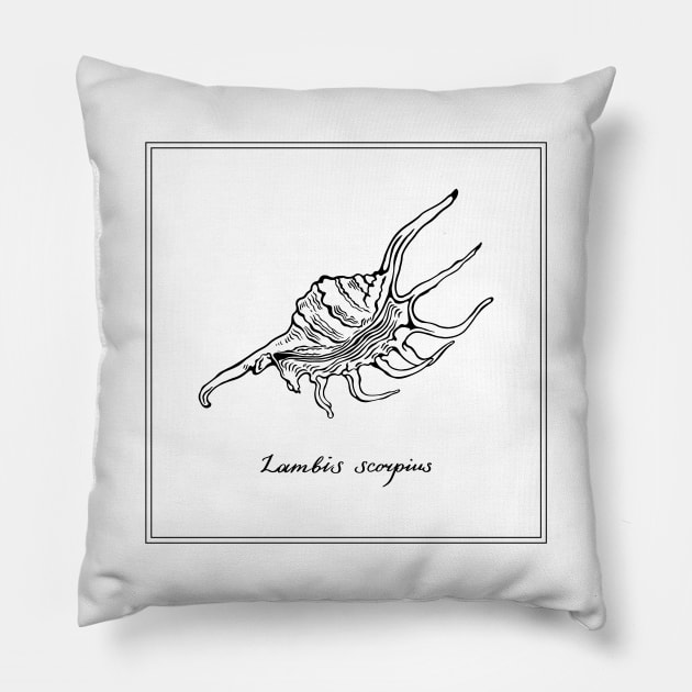 Lambis Scorpius or Scorpion Spider Conch Pillow by ArchiTania