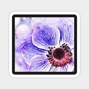 Purple Flower Magnet