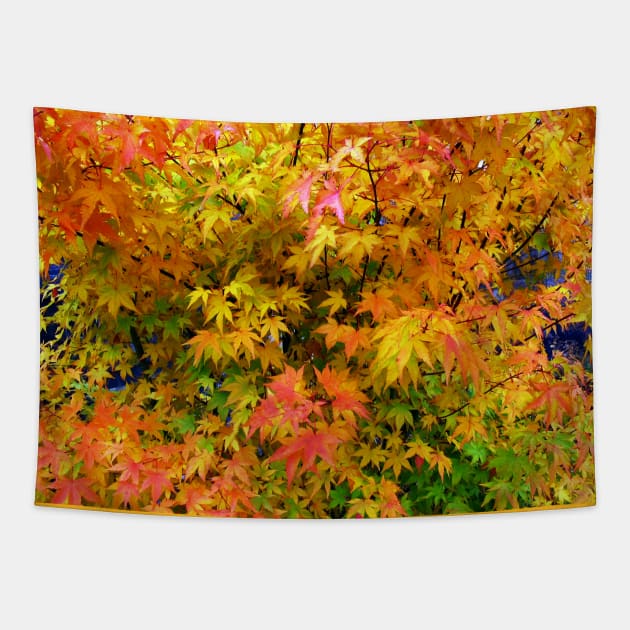 Orange and yellow leaves Tapestry by soitwouldseem