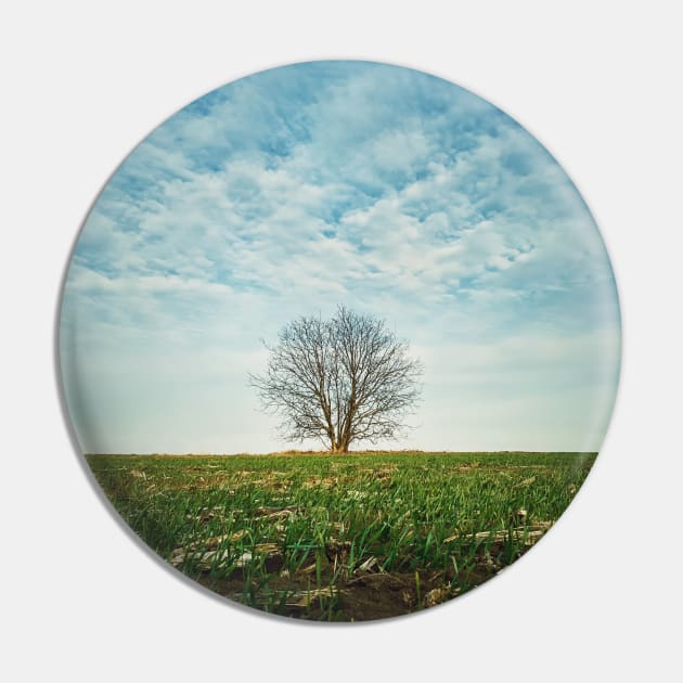 a tree in the spring field Pin by psychoshadow