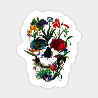 Flowers Skull Floral Skull Flower Sugar Skull Magnet