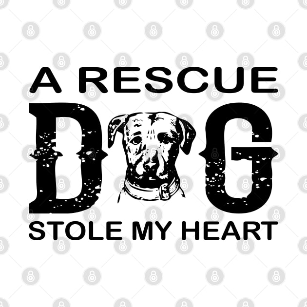 A rescue dog stole my heart by mohamadbaradai