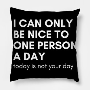 I Can Only Be Nice To One Person A Day. Today Is Not Your Day. Funny Sarcastic NSFW Rude Inappropriate Saying Pillow