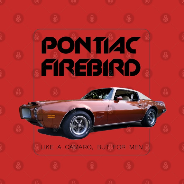 1971 Pontiac Firebird. Like a Camaro but for men. by MotorPix