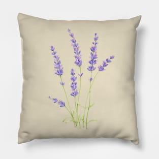 Lavender flower Pillow