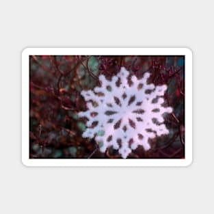 Christmas snowflake in red and green Magnet