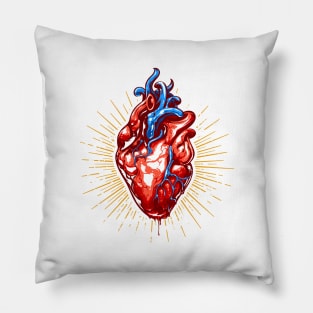 Heart Anatomy Pillow