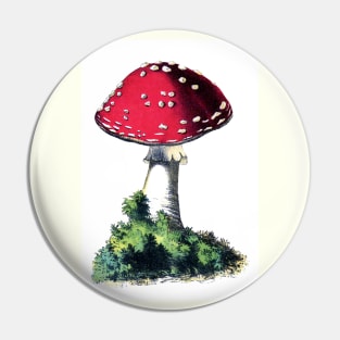 Vintage Red Mushroom Pin