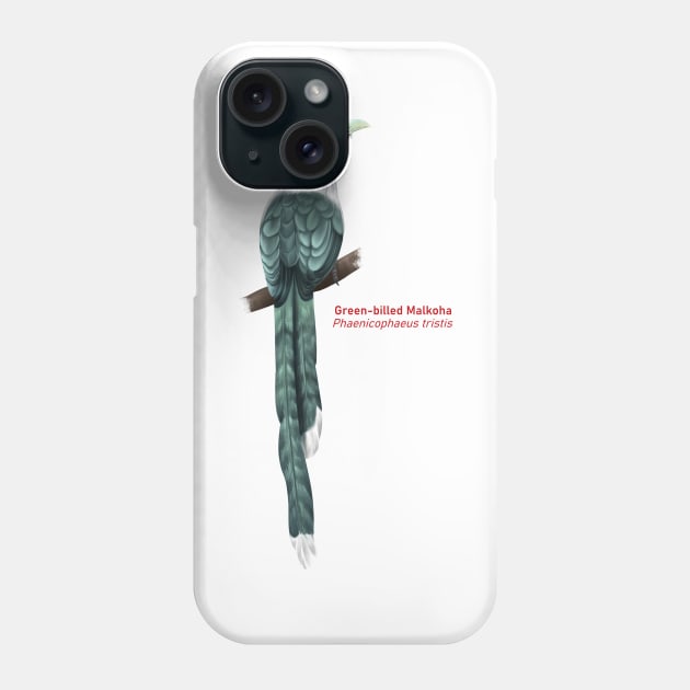 Green-billed Malkoha | Phaenicophaeus tristis Phone Case by bona 