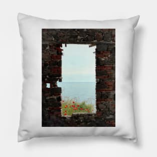 Sea Wall Pillow
