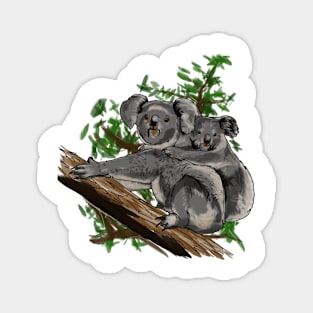 Koala Magnet