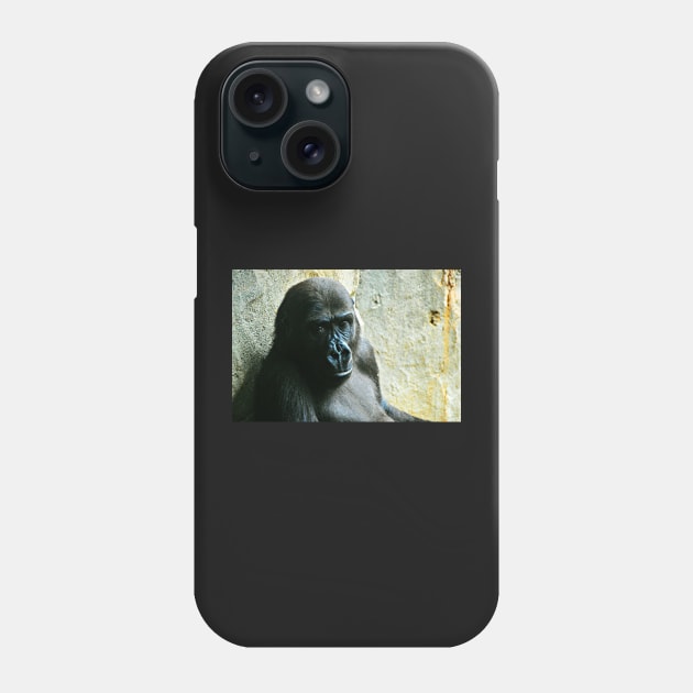 Frankfurt Gorilla Phone Case by kchase