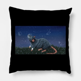 Grey Rat Stargazing Pillow