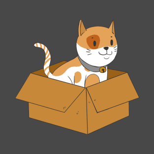 Cat in a box! T-Shirt