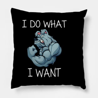 I Do What I want Pillow