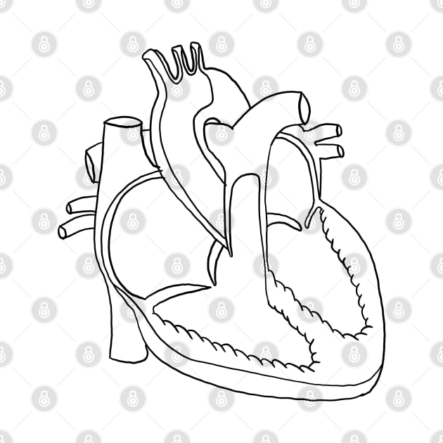  Anatomy heart by Carries Design 