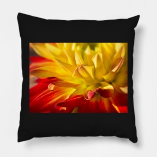 Dahlia Pillow