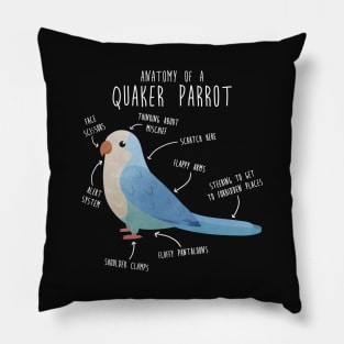 Blue Quaker Anatomy Pillow