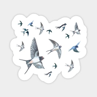 A flock of swallows Magnet