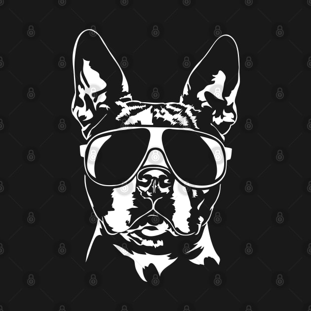 Funny Boston Terrier sunglasses cool dog by wilsigns