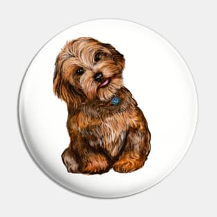 Cavapoochon Cavapoo Cavoodle  Black and Tan tilted head - cute cavalier King Charles spaniel Bichon frise Pin