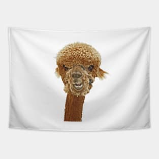 Cute Alpaca Tapestry