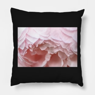 Delicate pink rose detail Pillow