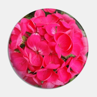 Hot Pink Geraniums Pin