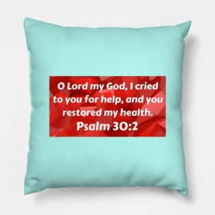 Bible Verse Psalm 30:2 Pillow